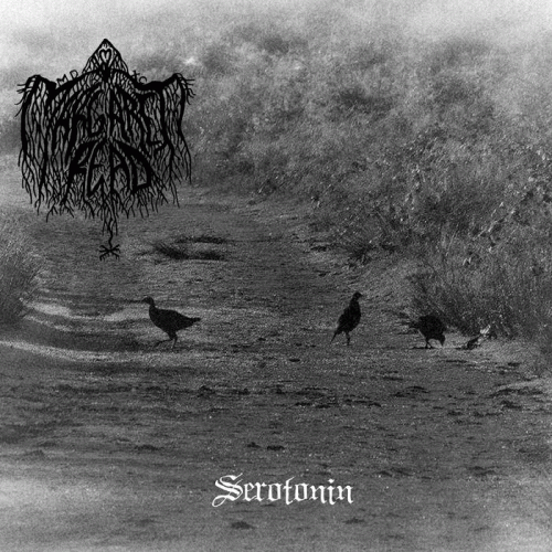 Margaret Read : Serotonin